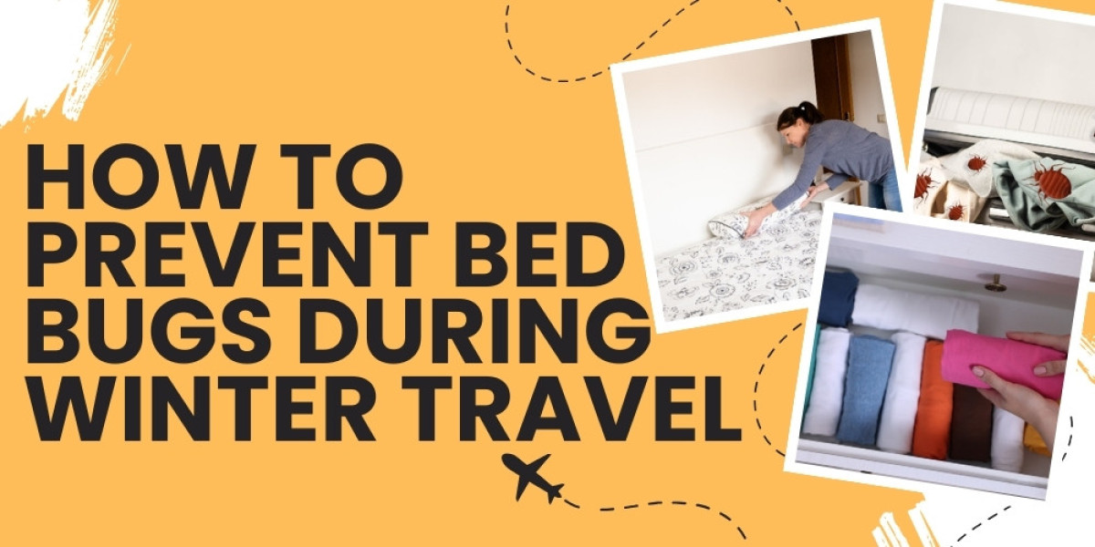 How to Prevent Bed Bugs During Winter Travel