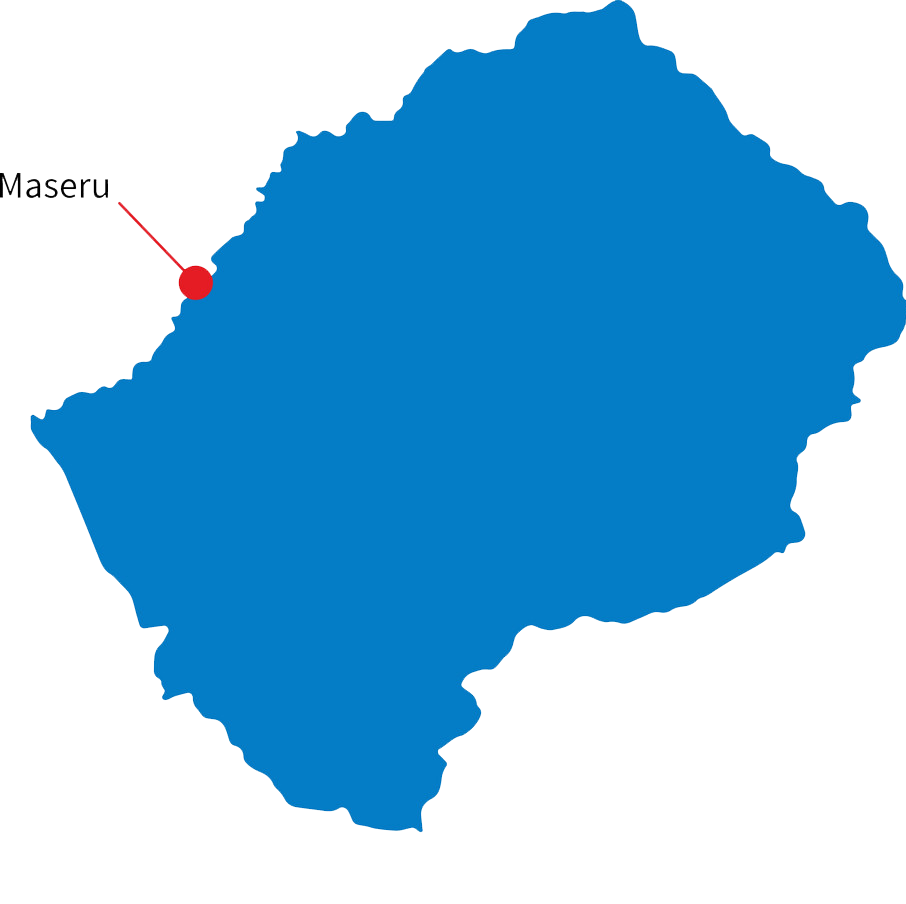 Lesotho Export Data, Lesotho Trade Data, Lesotho Trade Statistics