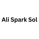 Ali Spark Sol Profile Picture